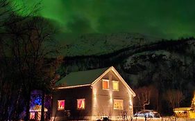 Elvestua
